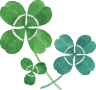 四ツ葉のクローバー